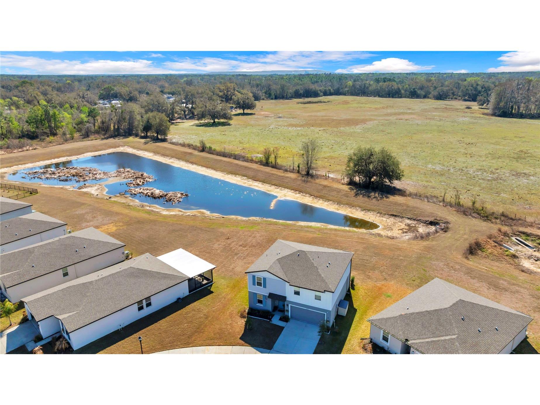 3070 Forrest Plum Court Zephyrhills FL 33540 TB8481150 image6