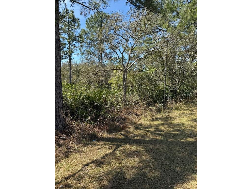 30700 Kumquat Avenue Eustis FL 32736 OM696239 image1