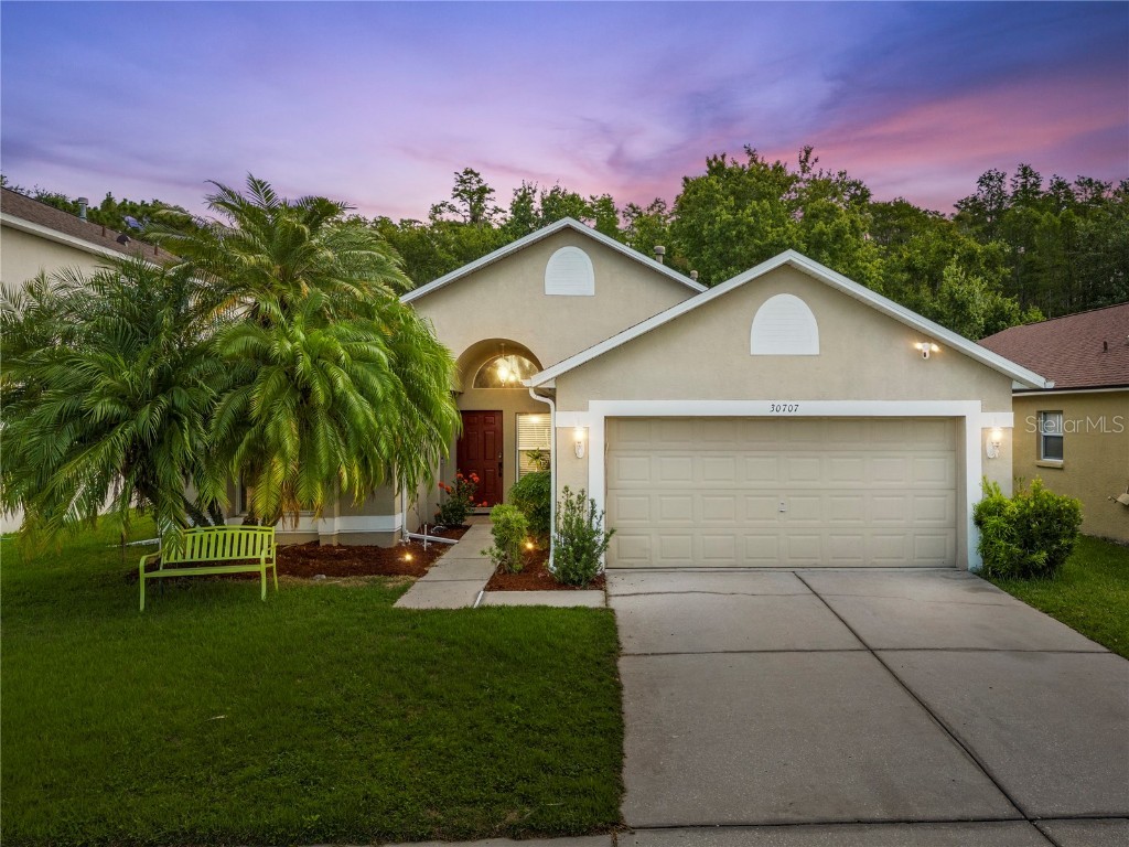 30707 Tremont Drive Wesley Chapel FL 33543 T3453097 image1
