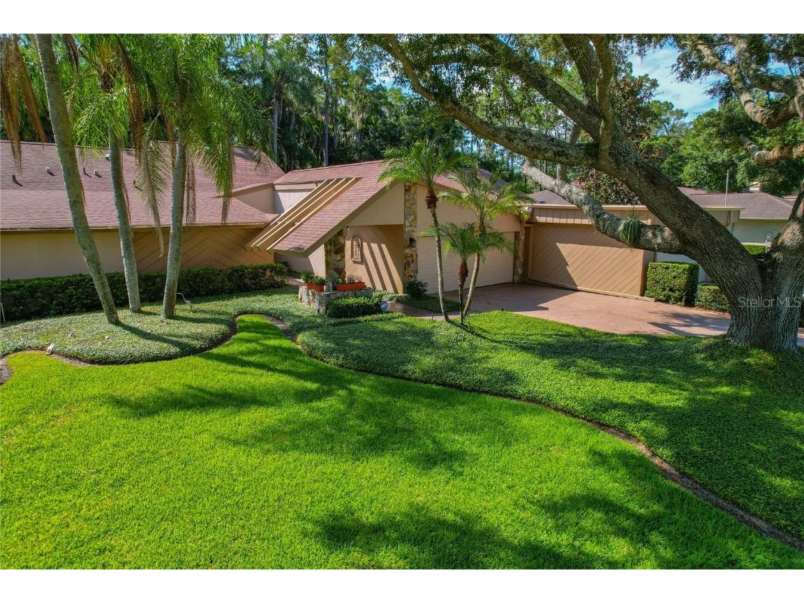 3071 Bolt Drive Palm Harbor FL 34685 U8251752 image1