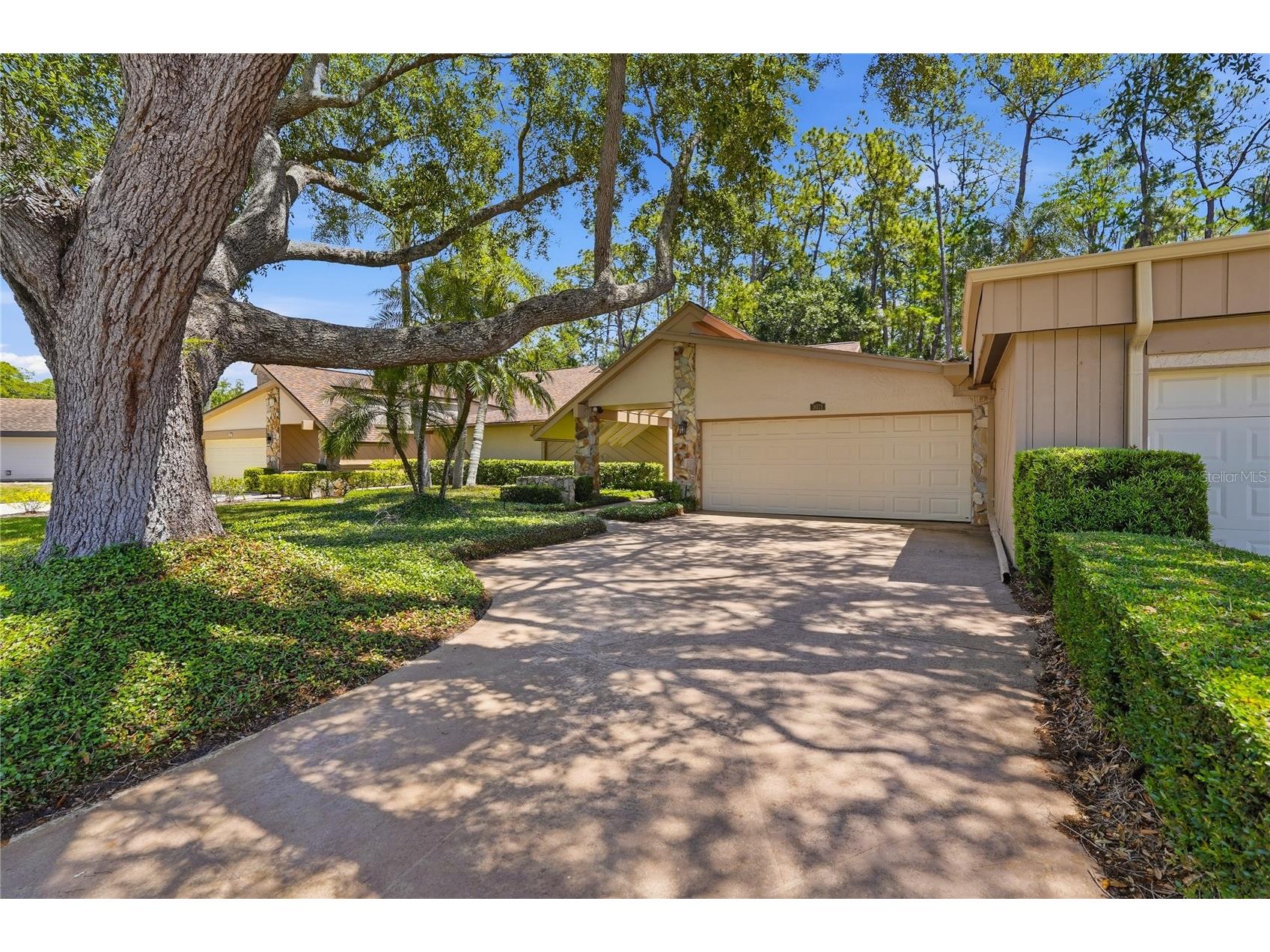 3071 Bolt Drive Palm Harbor FL 34685 W7885293 image3