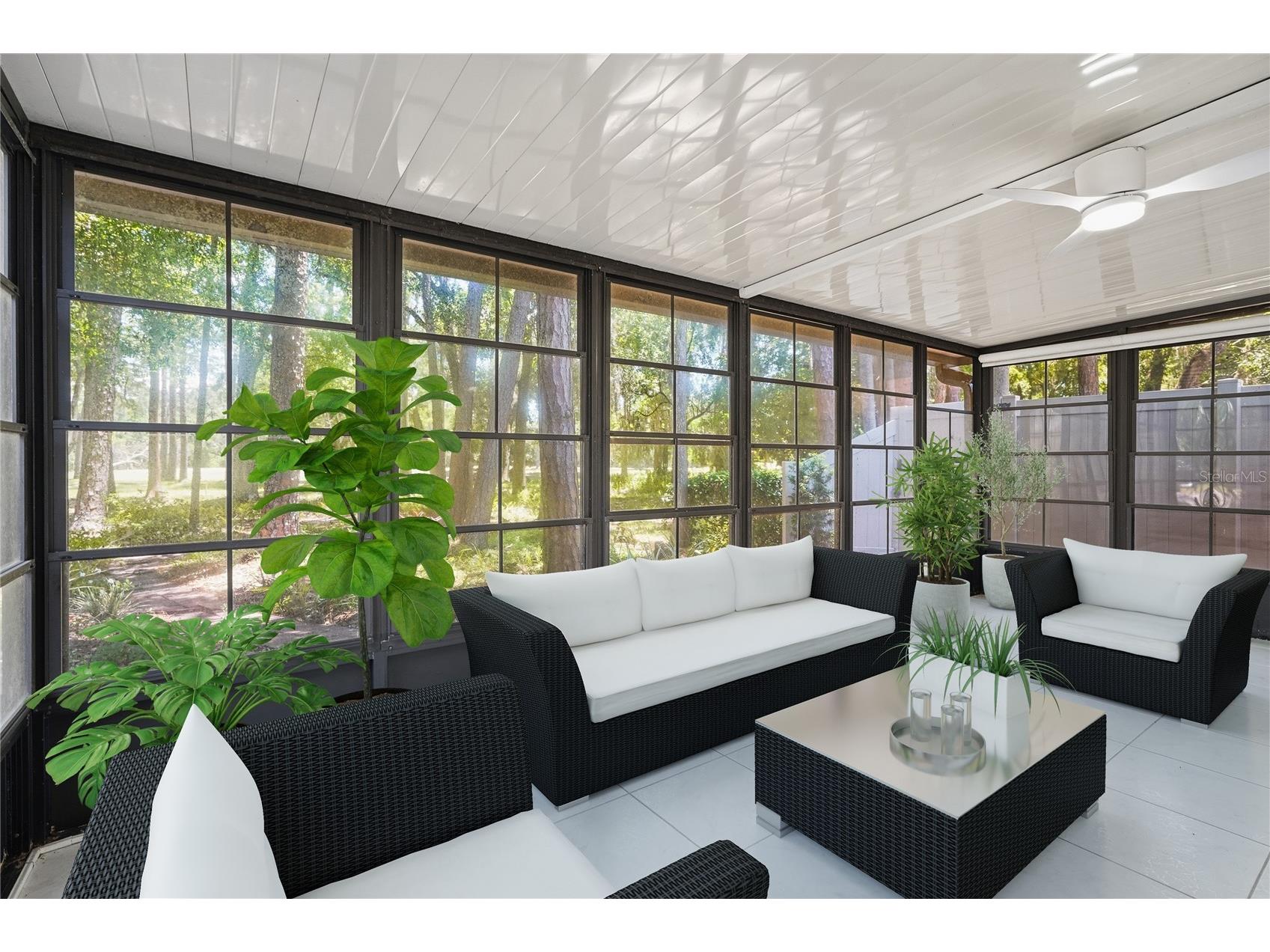 3071 Bolt Drive Palm Harbor FL 34685 W7885293 image33