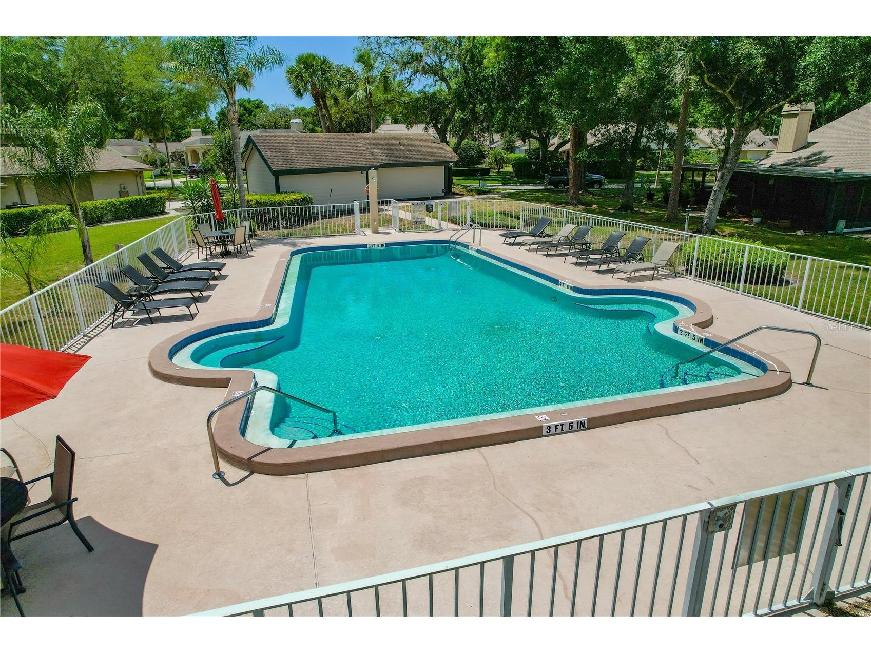 3071 Bolt Drive Palm Harbor FL 34685 W7885293 image4