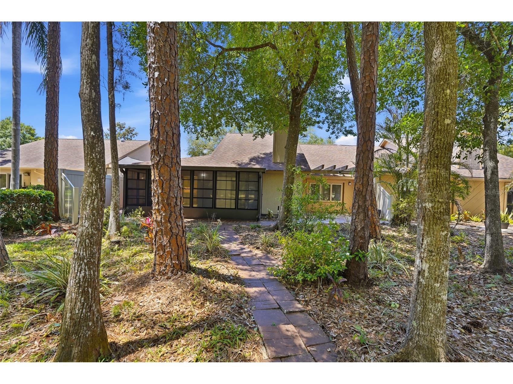 3071 Bolt Drive Palm Harbor FL 34685 W7885293 image41