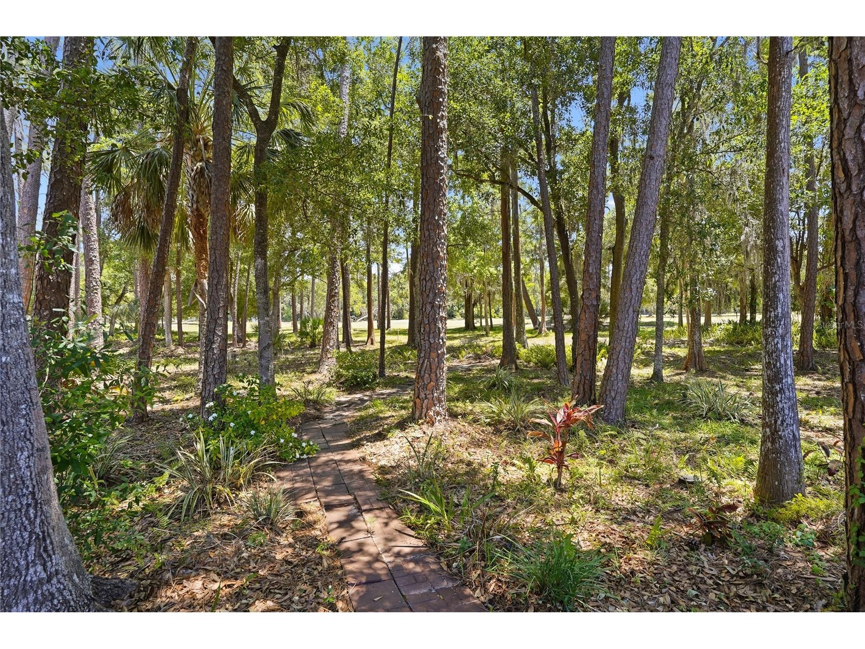3071 Bolt Drive Palm Harbor FL 34685 W7885293 image43