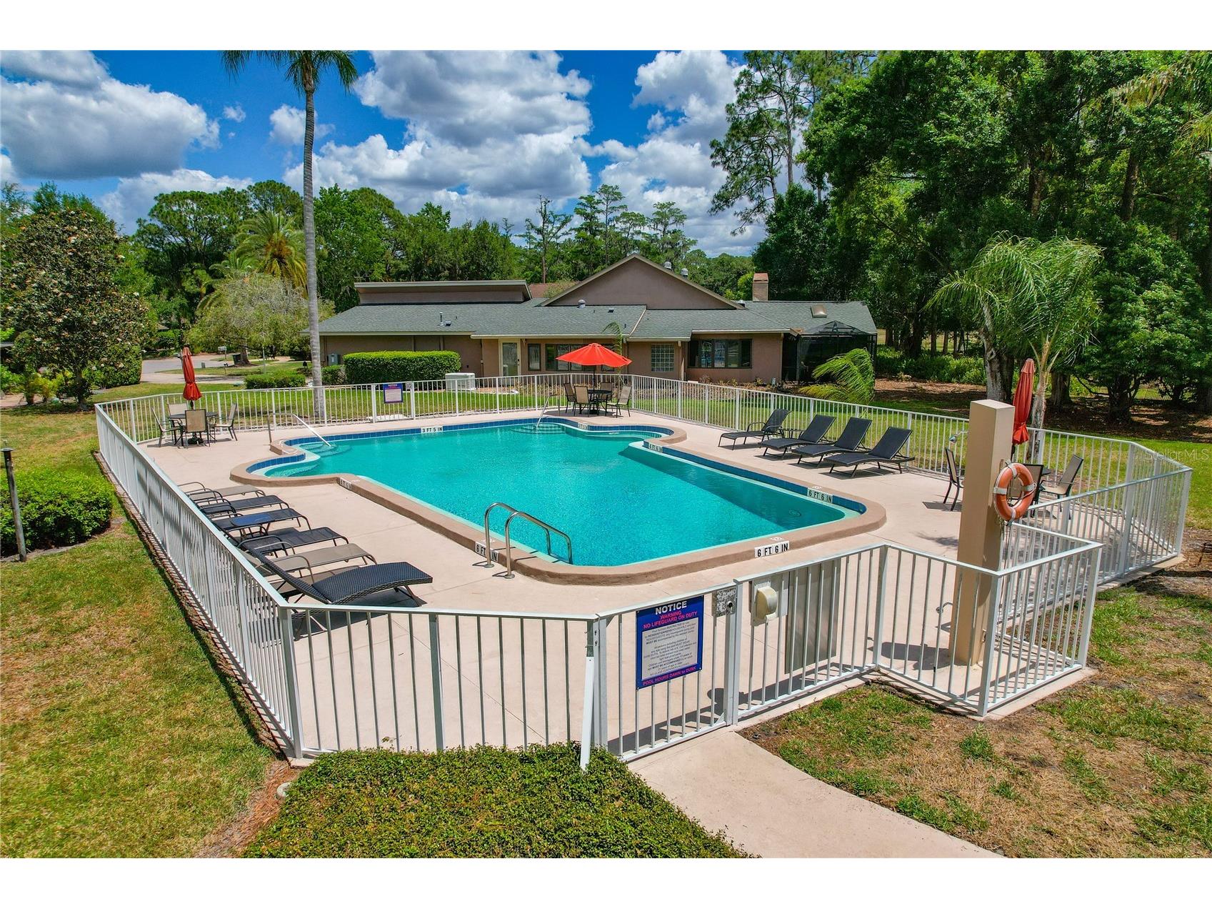 3071 Bolt Drive Palm Harbor FL 34685 W7885293 image45