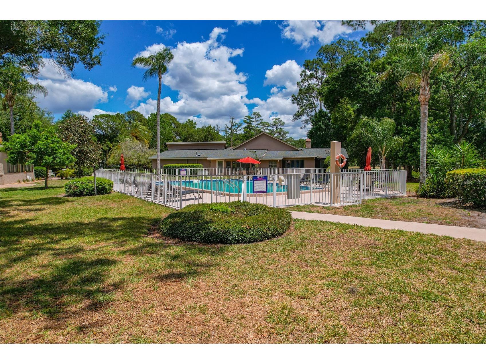 3071 Bolt Drive Palm Harbor FL 34685 W7885293 image46