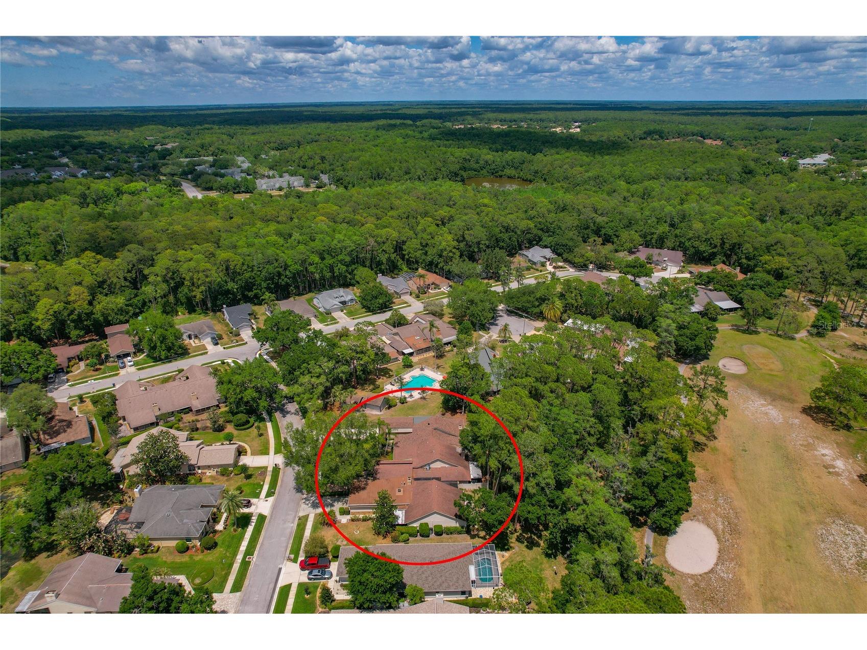 3071 Bolt Drive Palm Harbor FL 34685 W7885293 image47