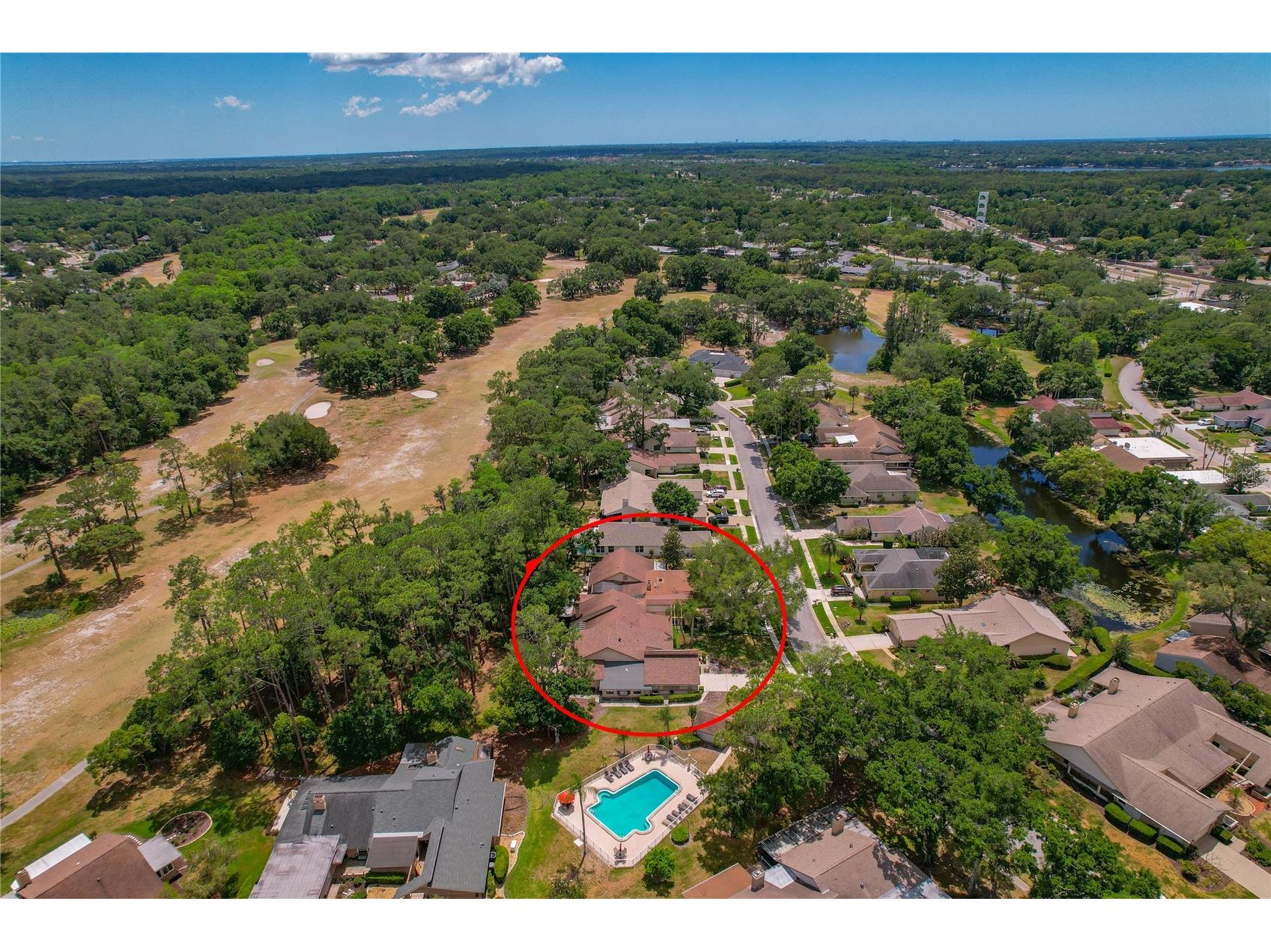 3071 Bolt Drive Palm Harbor FL 34685 W7885293 image48