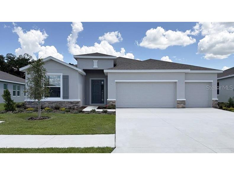 3071 Canopy Oak Boulevard Wildwood FL 34785 OM695820 image1