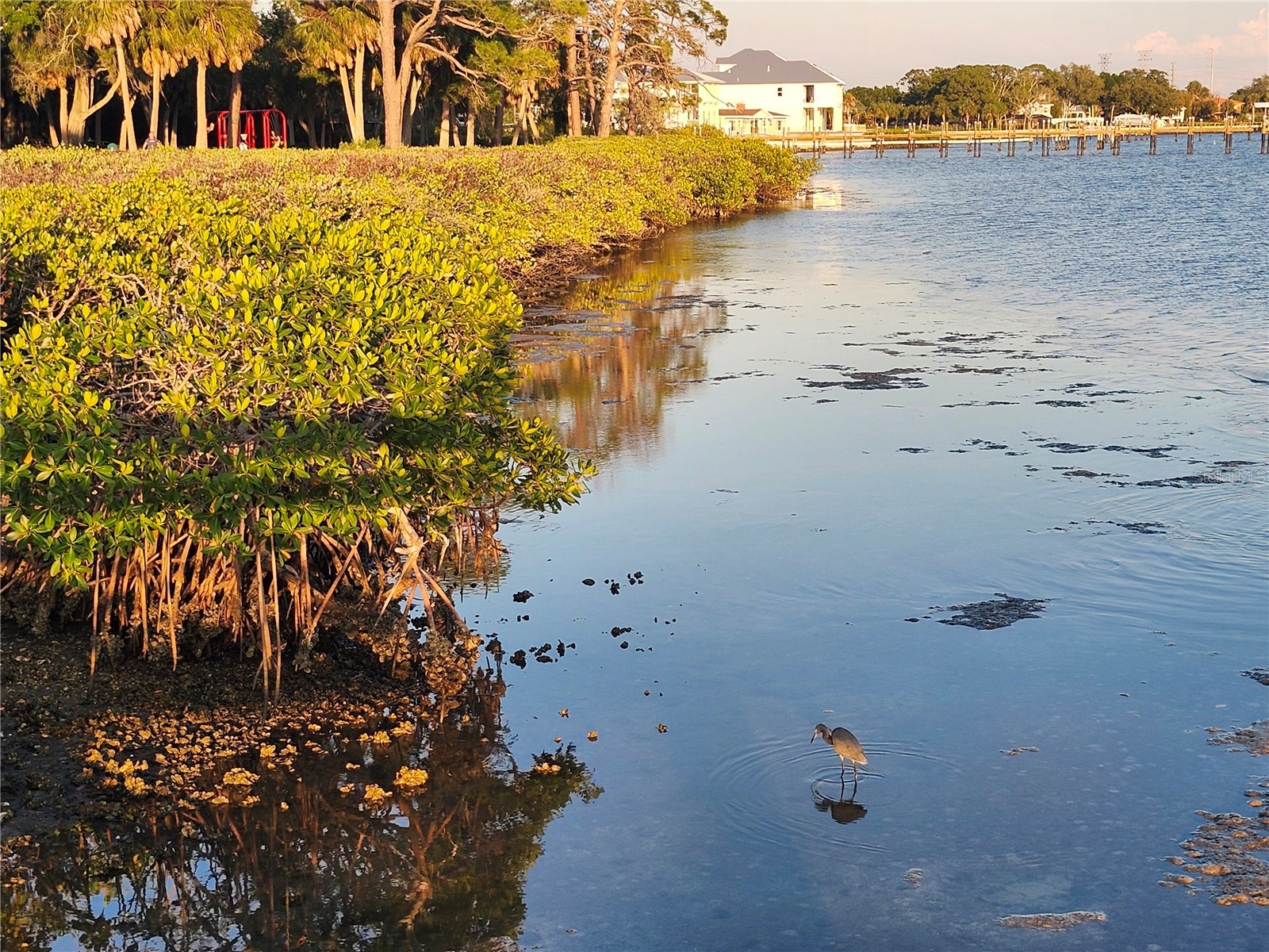 3071 Huron Avenue Oldsmar FL 34677 TB8507555 image60