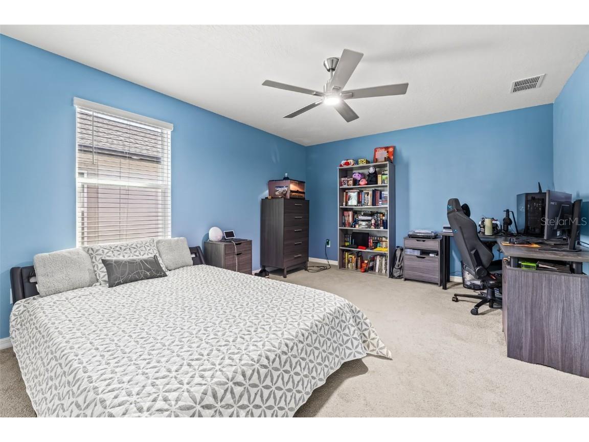 3071 Marine Grass Drive Wimauma FL 33598 TB8386795 image30