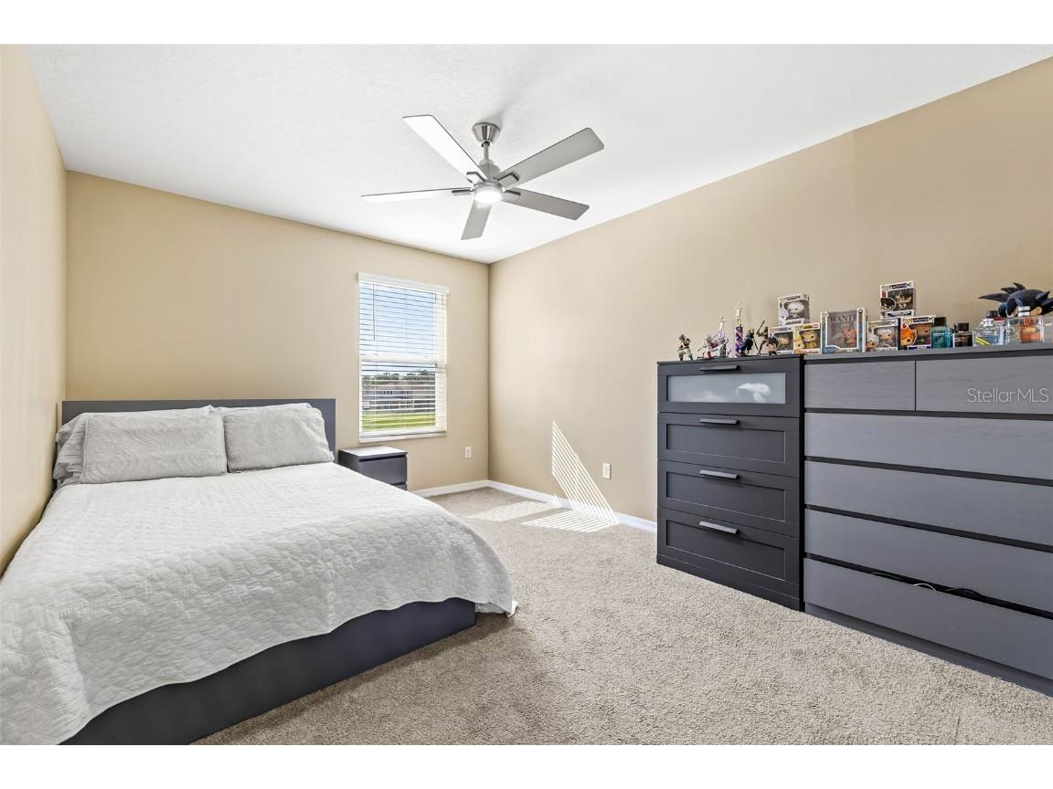 3071 Marine Grass Drive Wimauma FL 33598 TB8386795 image33