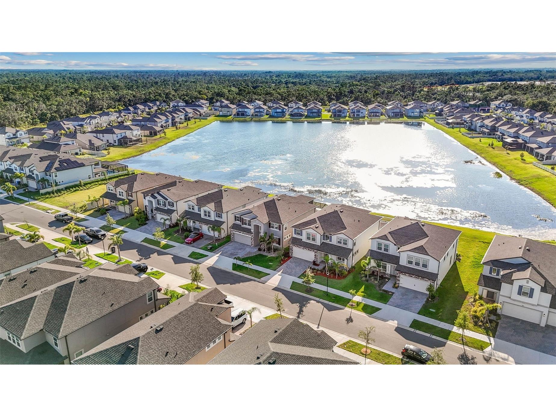 3071 Marine Grass Drive Wimauma FL 33598 TB8483998 image59