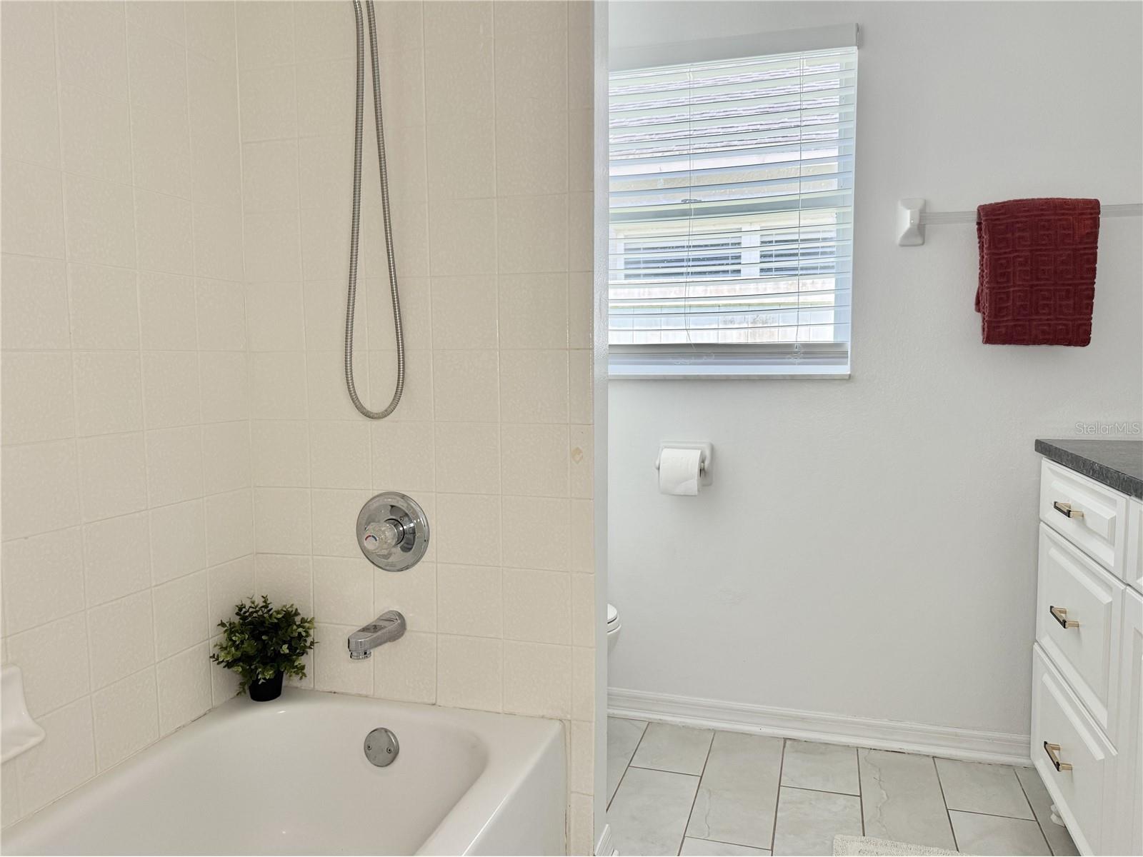 30710 Nickerson Loop Wesley Chapel FL 33543 TB8516564 image28