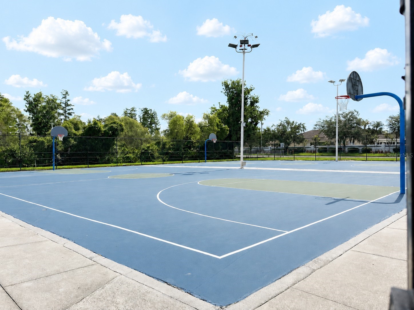 30710 Nickerson Loop Wesley Chapel FL 33543 TB8516564 image42