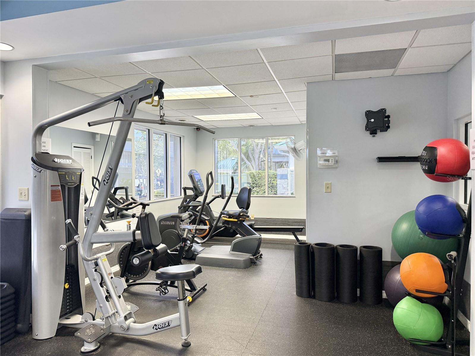 30710 Nickerson Loop Wesley Chapel FL 33543 TB8516564 image43