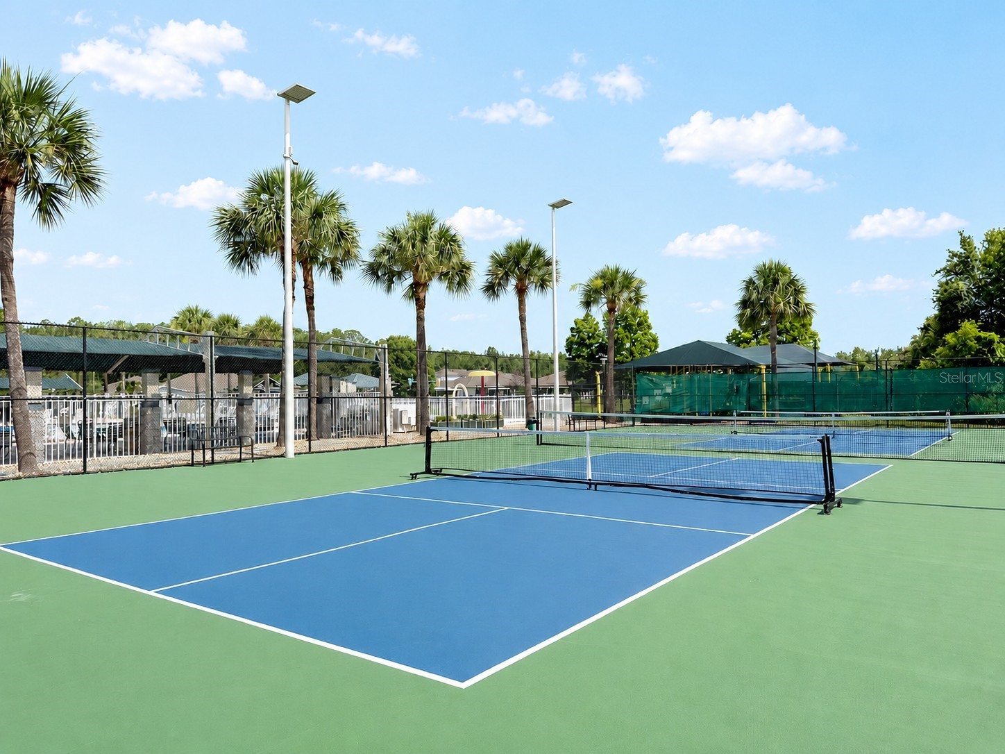 30710 Nickerson Loop Wesley Chapel FL 33543 TB8516564 image46