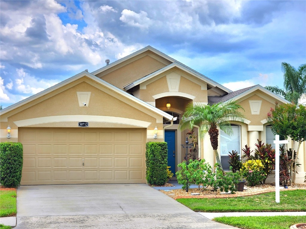30712 Tremont Drive Wesley Chapel FL 33543 T3531729 image1