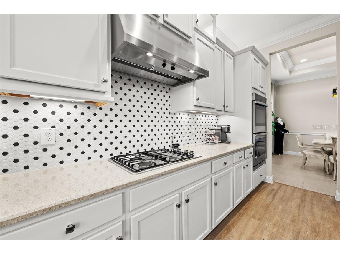 30715 Tumbleberry Street Wesley Chapel FL 33543 TB8340685 image11