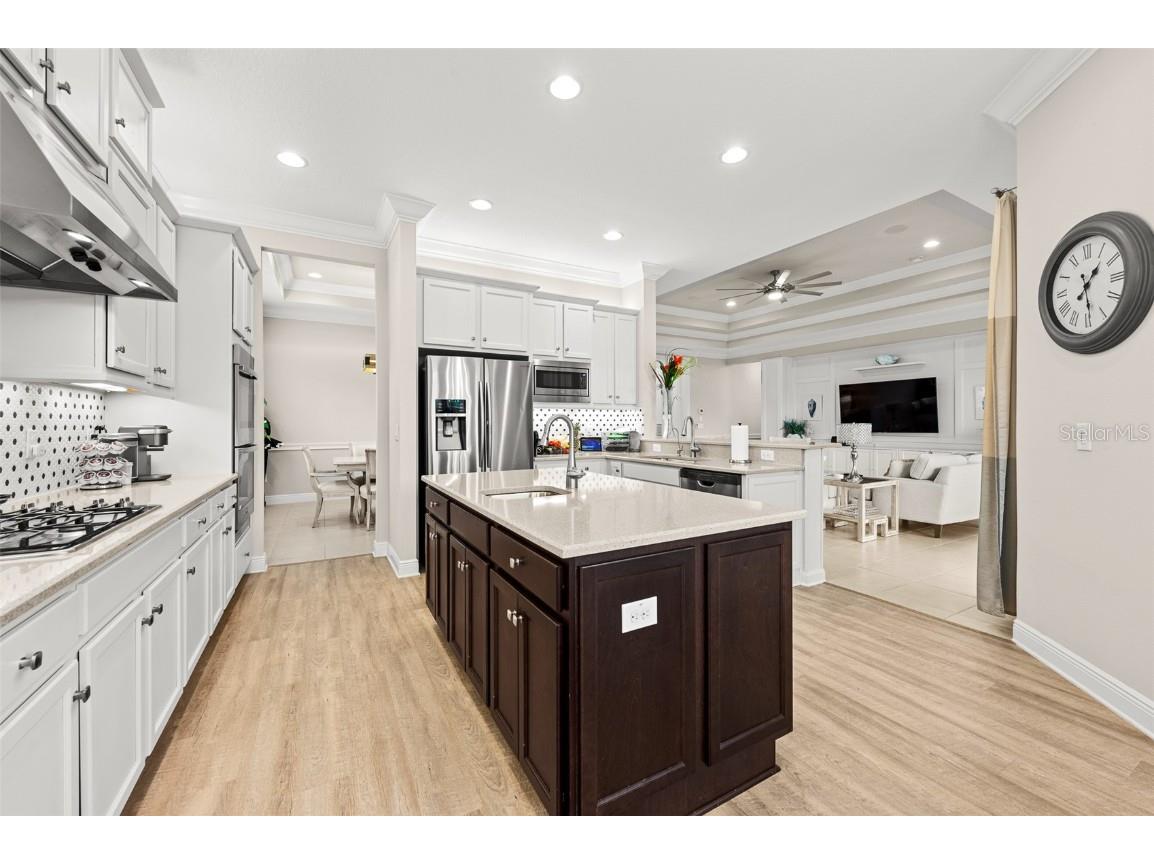 30715 Tumbleberry Street Wesley Chapel FL 33543 TB8340685 image17