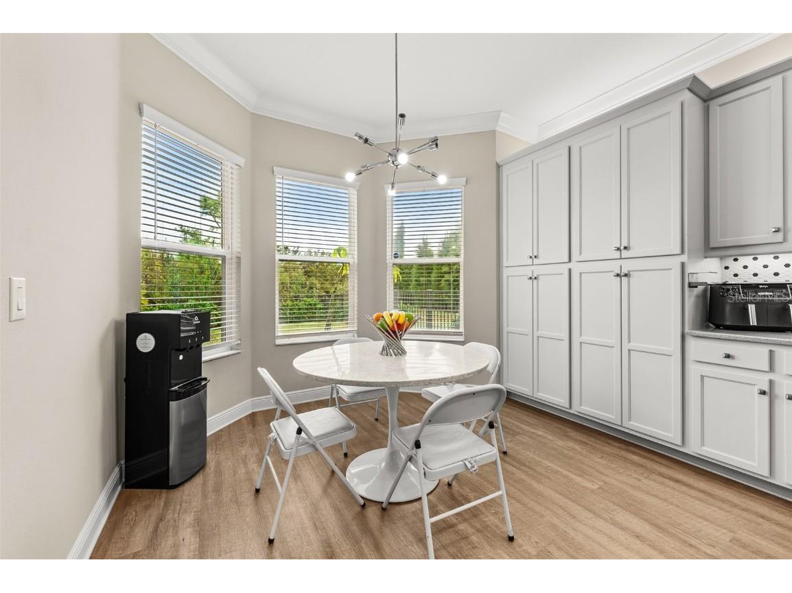 30715 Tumbleberry Street Wesley Chapel FL 33543 TB8340685 image18