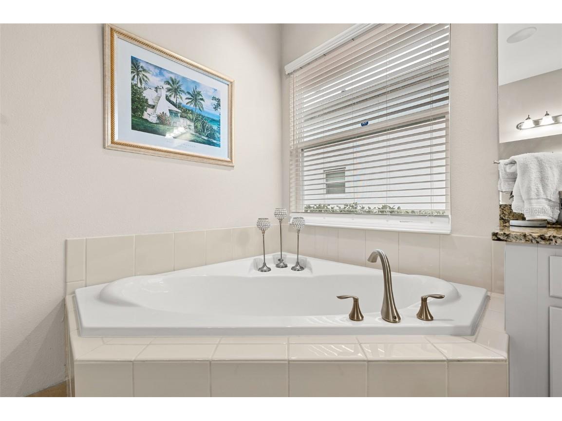 30715 Tumbleberry Street Wesley Chapel FL 33543 TB8340685 image25