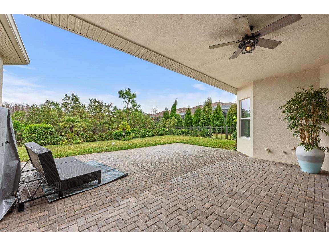 30715 Tumbleberry Street Wesley Chapel FL 33543 TB8388281 image16