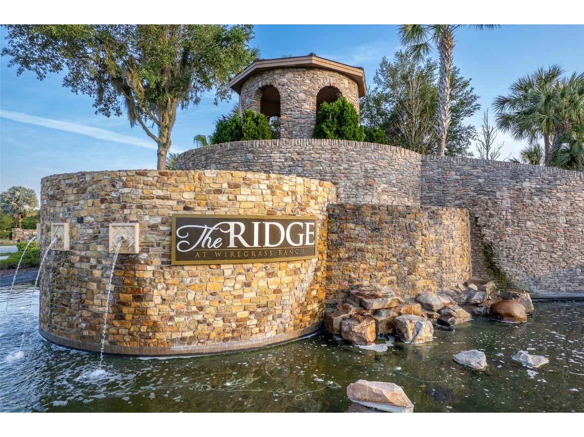 30715 Tumbleberry Street Wesley Chapel FL 33543 TB8388281 image2