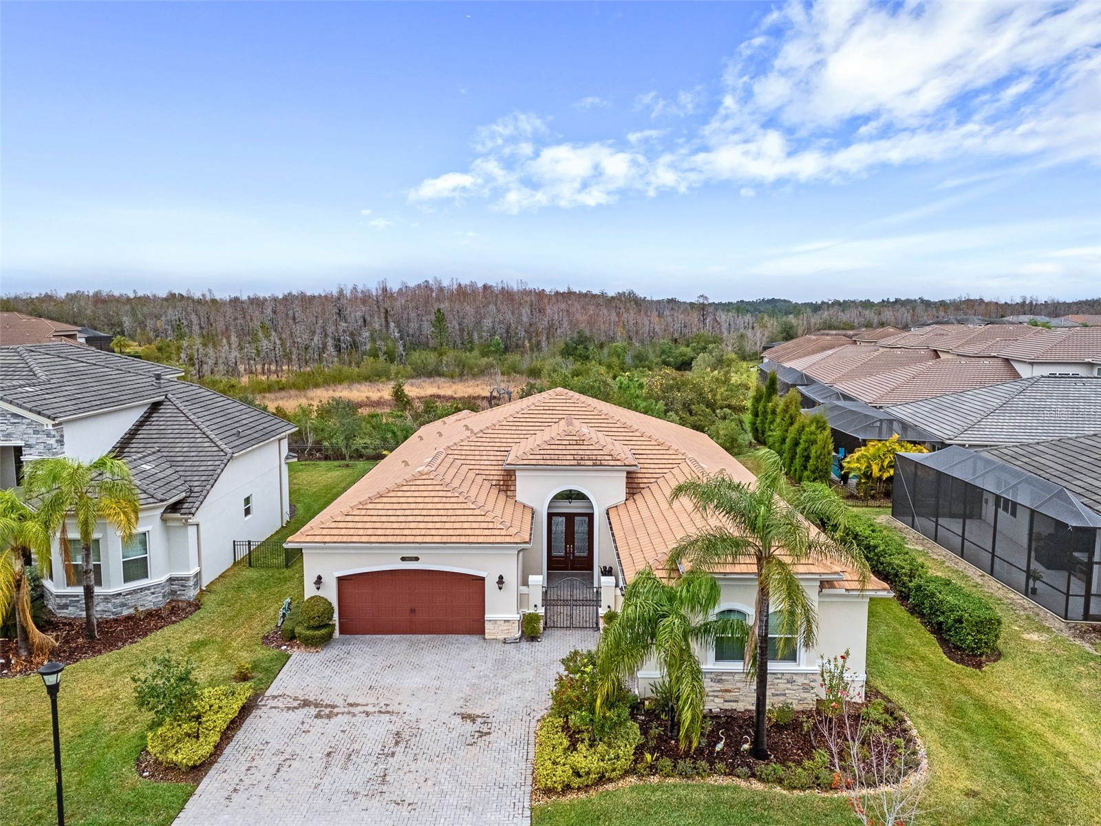 30715 Tumbleberry Street Wesley Chapel FL 33543 TB8525769 image1