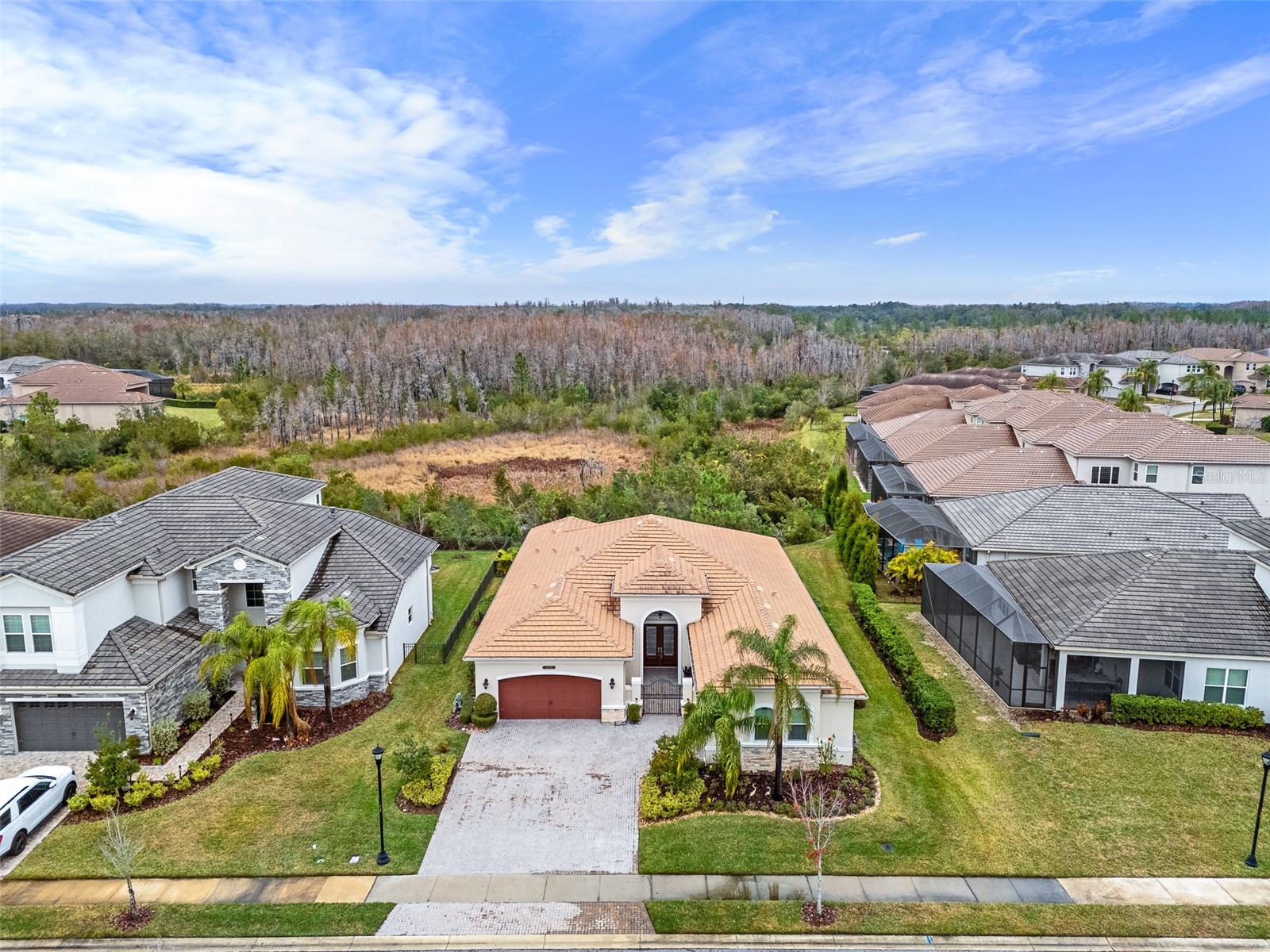 30715 Tumbleberry Street Wesley Chapel FL 33543 TB8525769 image4