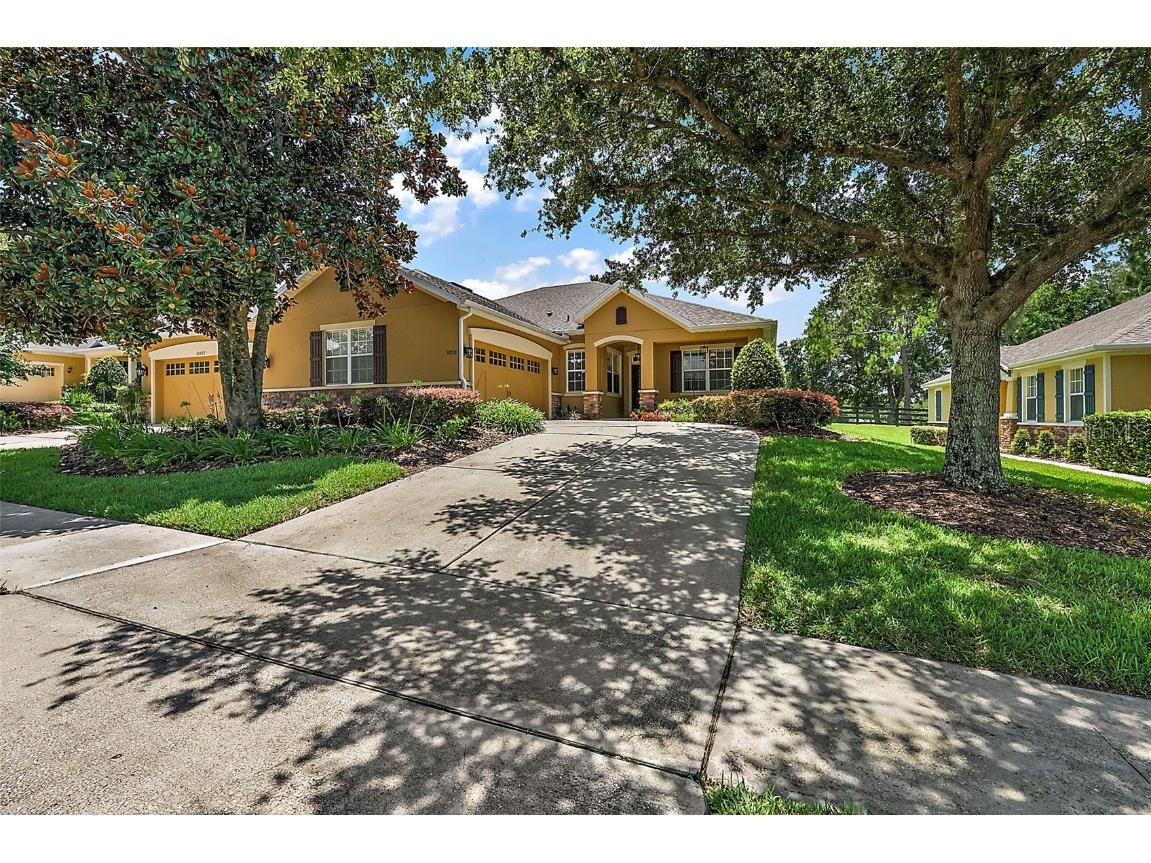 30718 Lipizzan Terrace Mount Dora FL 32757 O6223465 image1
