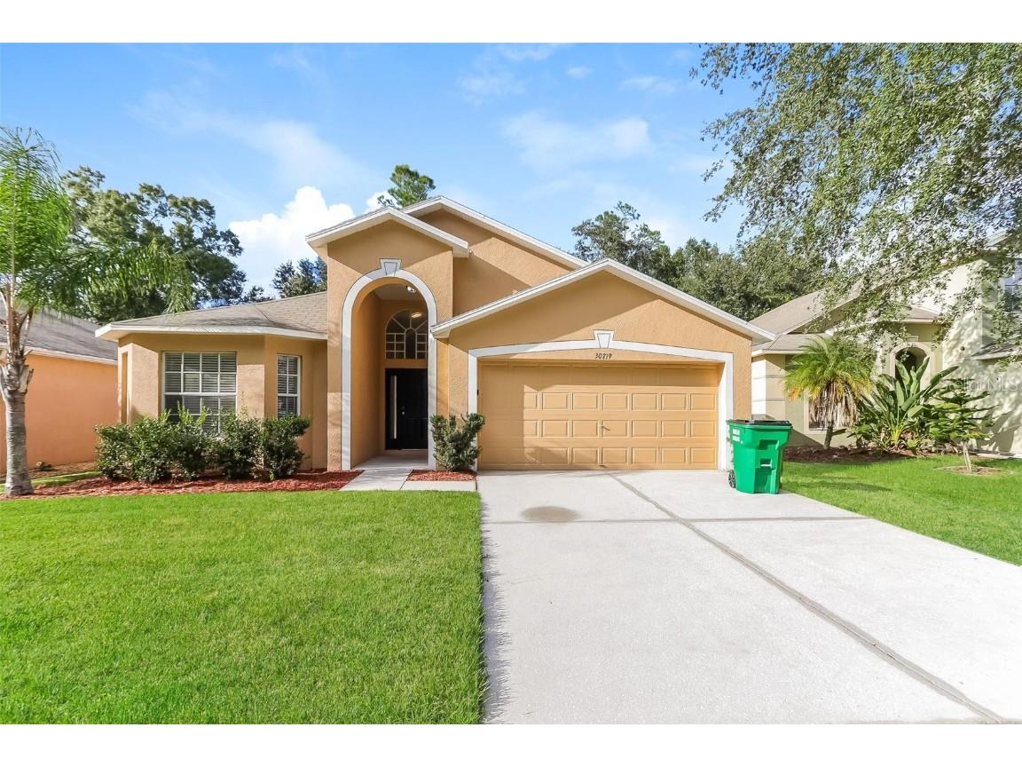 30719 Midtown Ct Wesley Chapel FL 33545 O6159630 image1