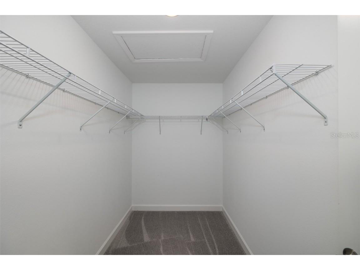 3072 Hover Hall Lane New Port Richey FL 34655 W7865474 image36