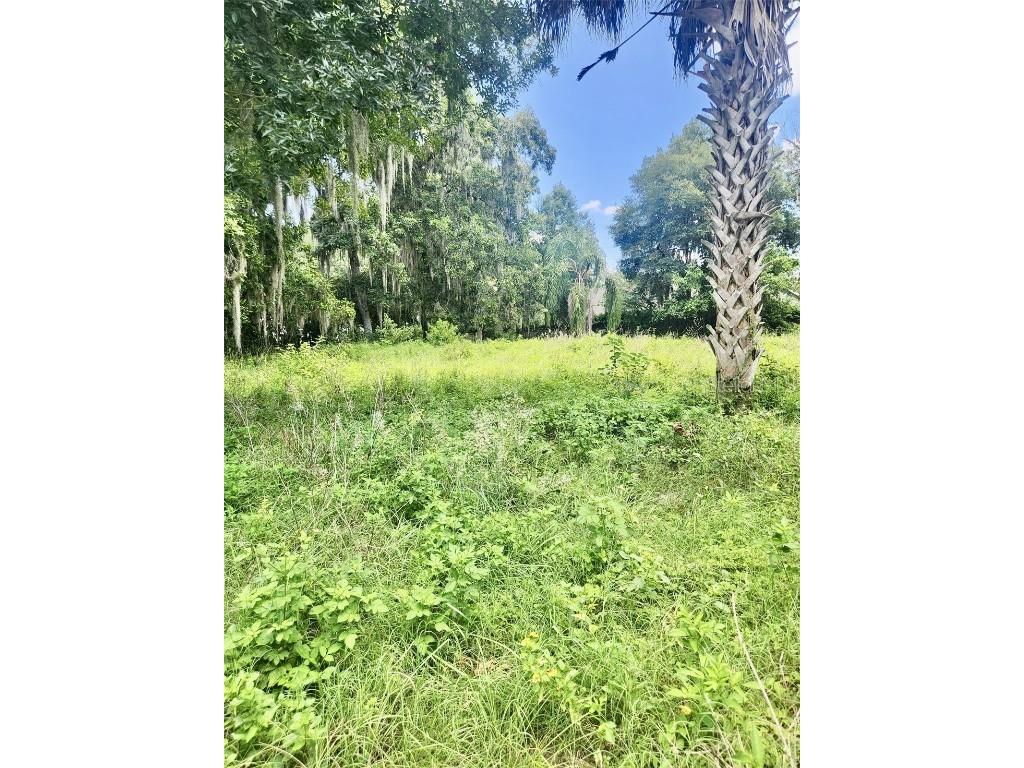 3072 N Wheaton Point Hernando FL 34442 U8251772 image1