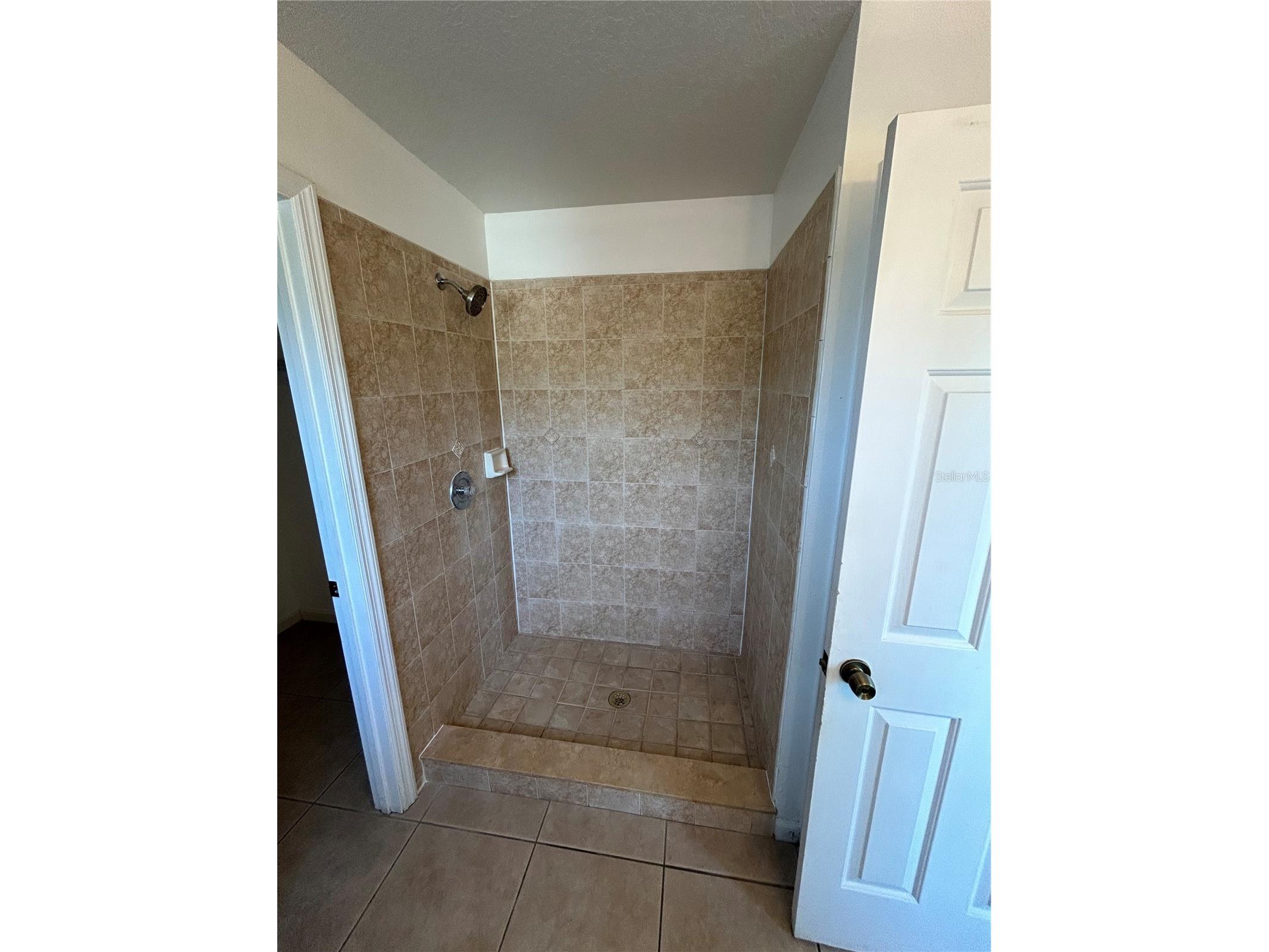 3072 Shingle Creek Court Kissimmee FL 34746 S5150296 image10