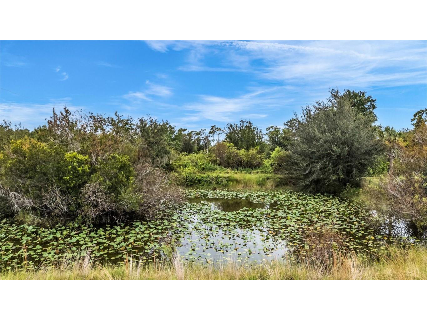 30720 Washington Loop Road Punta Gorda FL 33982 - Pond On Site C7514749 image90