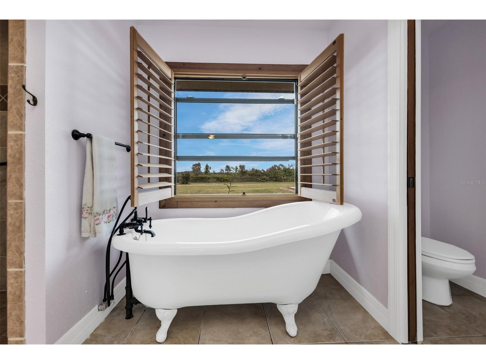 30720 Washington Loop Road Punta Gorda FL 33982 - Pond On Site C7526995 image21