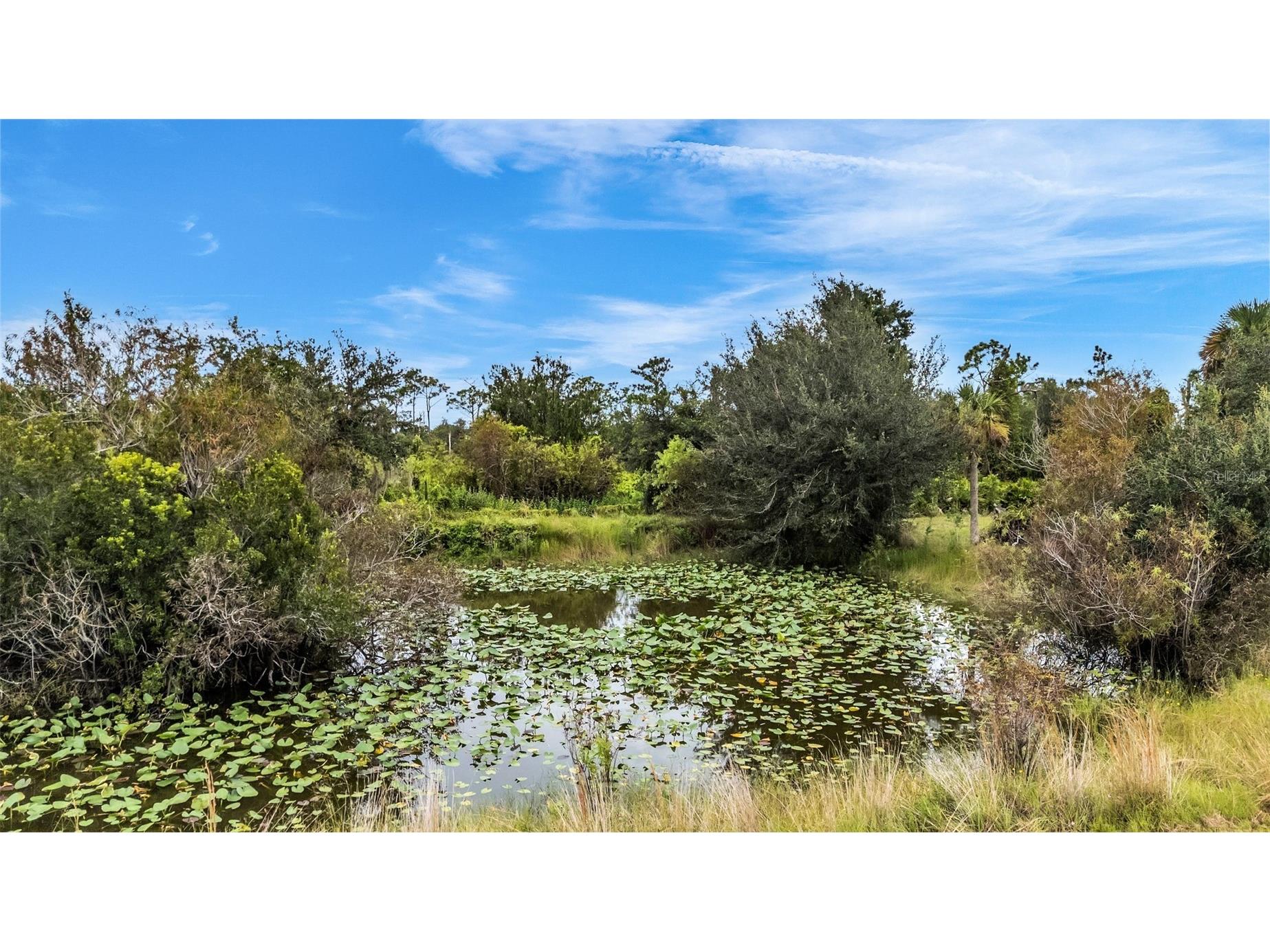 30720 Washington Loop Road Punta Gorda FL 33982 - Pond On Site C7526995 image57