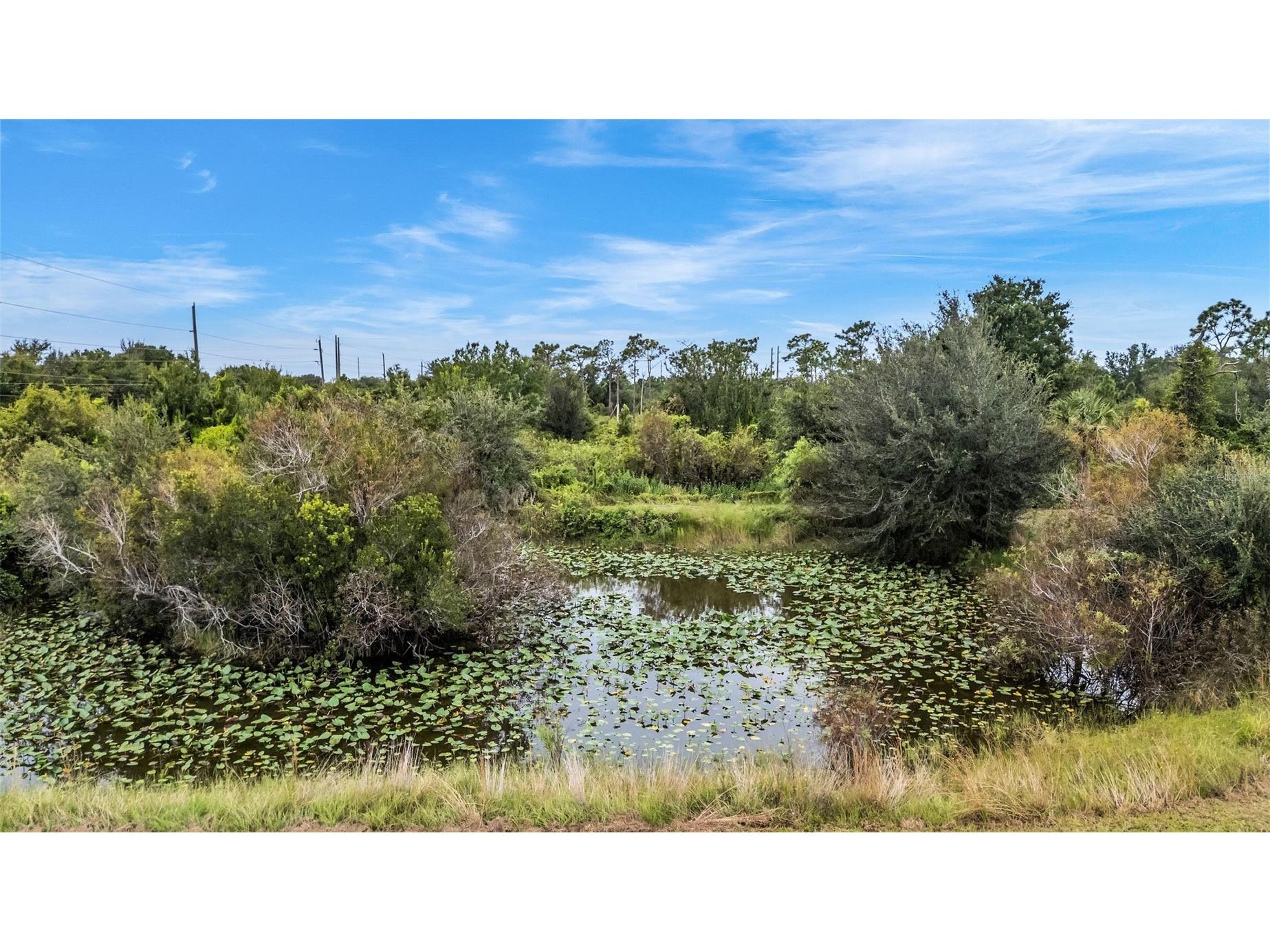30720 Washington Loop Road Punta Gorda FL 33982 - Pond On Site C7526995 image58