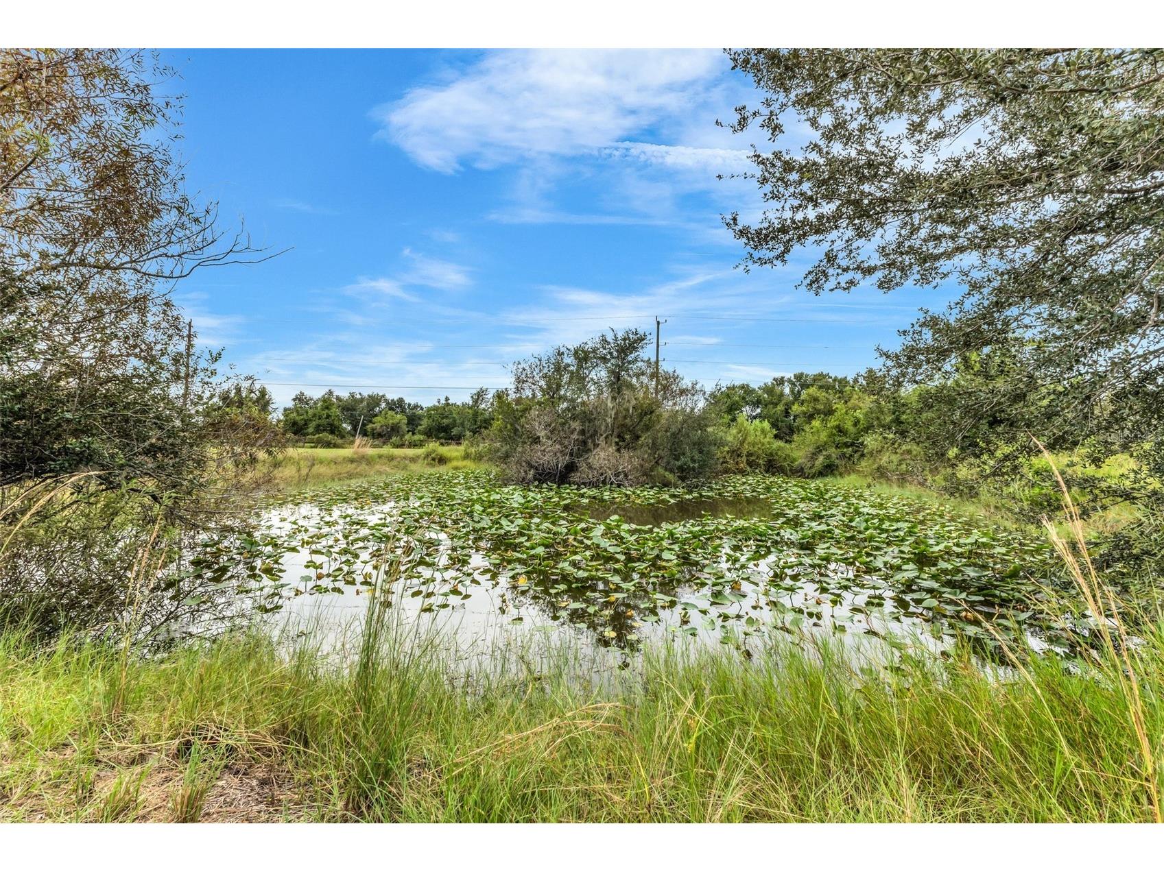 30720 Washington Loop Road Punta Gorda FL 33982 - Pond On Site C7526995 image78