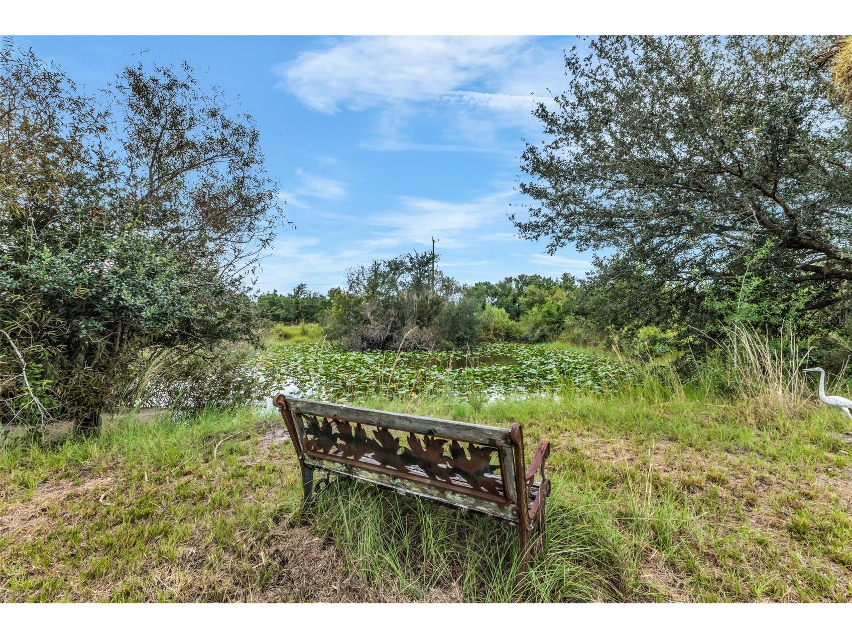 30720 Washington Loop Road Punta Gorda FL 33982 - Pond On Site C7526995 image80