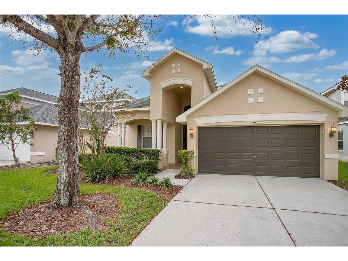 30722 Pumpkin Ridge Drive Wesley Chapel FL 33543 O6160763 image1