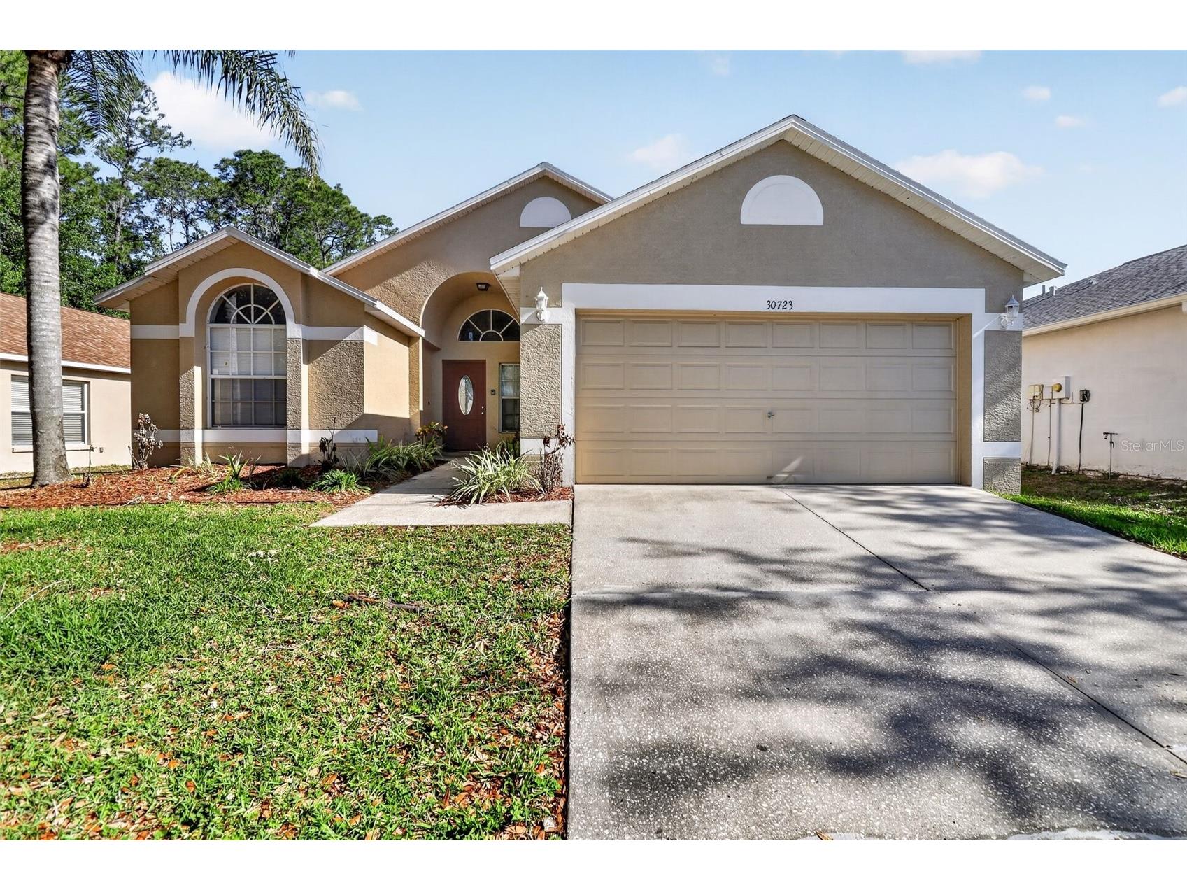 30723 Birdhouse Drive Wesley Chapel FL 33545 O6404447 image1