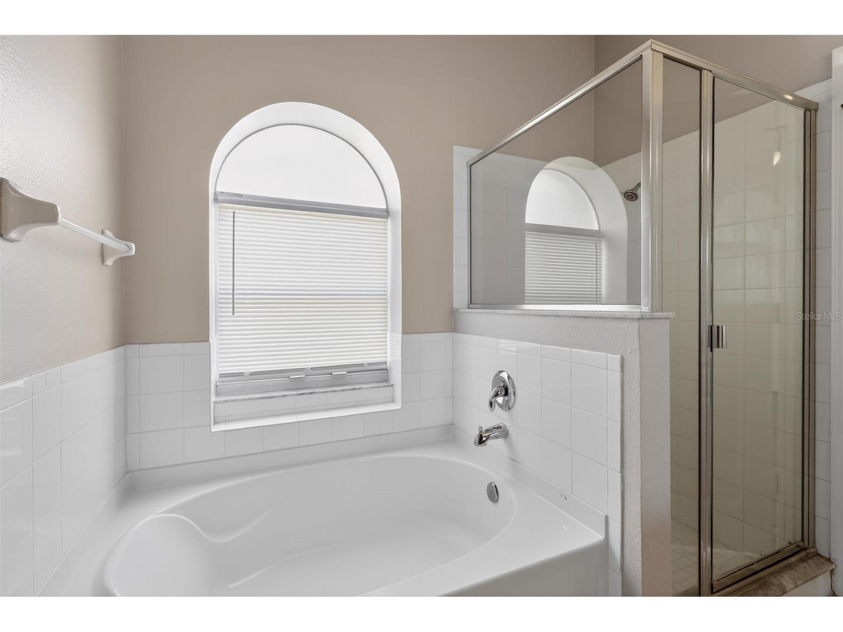 30723 Birdhouse Drive Wesley Chapel FL 33545 O6404447 image11