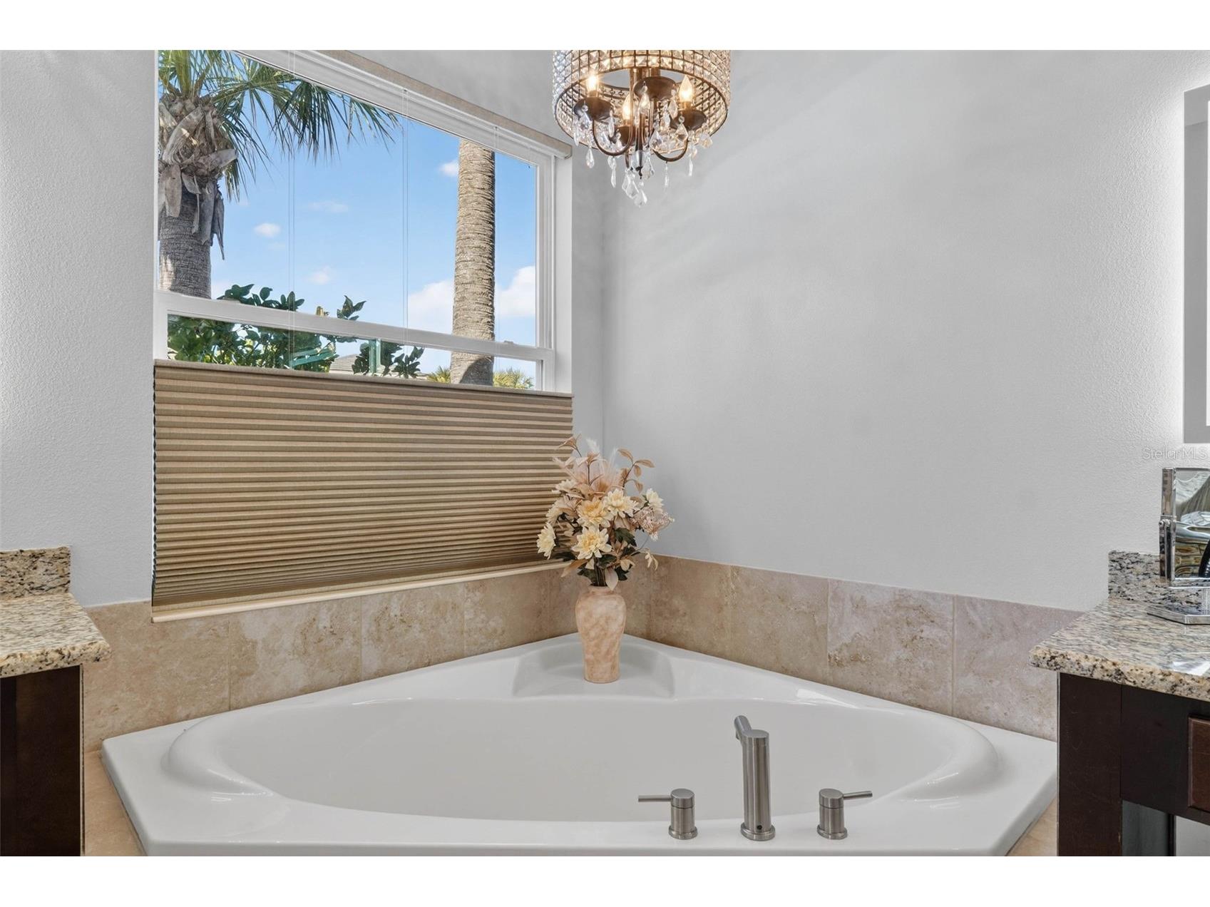 30724 Lindentree Drive Wesley Chapel FL 33543 TB8470260 image36