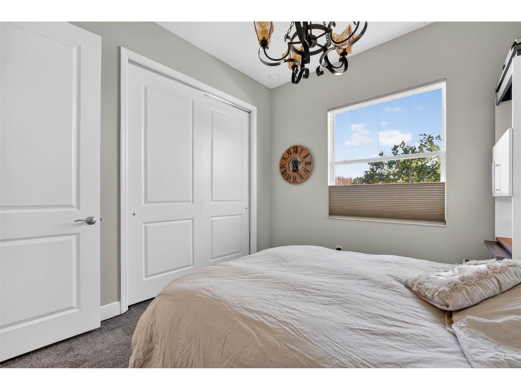 30724 Lindentree Drive Wesley Chapel FL 33543 TB8470260 image44