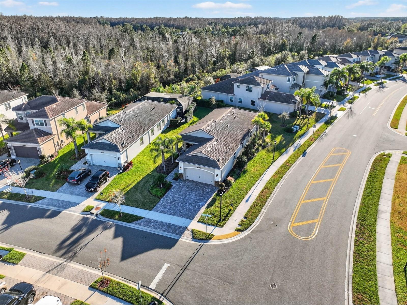 30724 Lindentree Drive Wesley Chapel FL 33543 TB8470260 image55