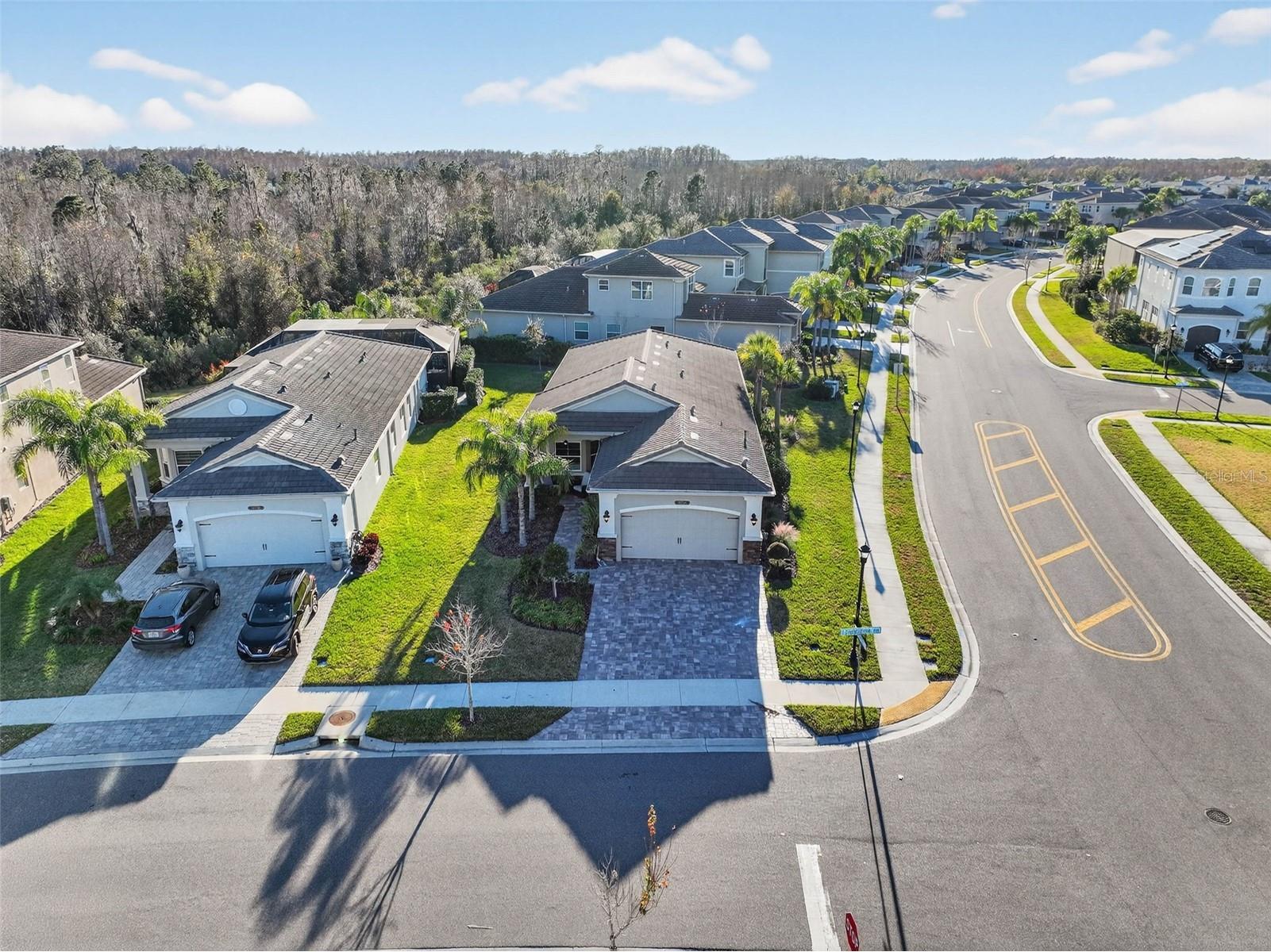 30724 Lindentree Drive Wesley Chapel FL 33543 TB8470260 image56