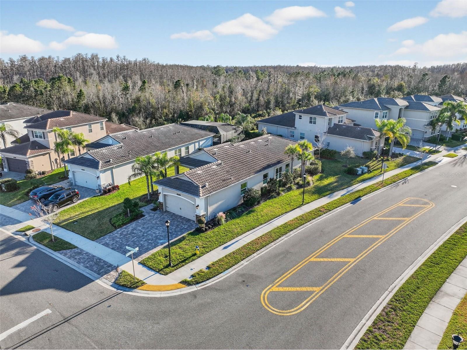 30724 Lindentree Drive Wesley Chapel FL 33543 TB8470260 image59